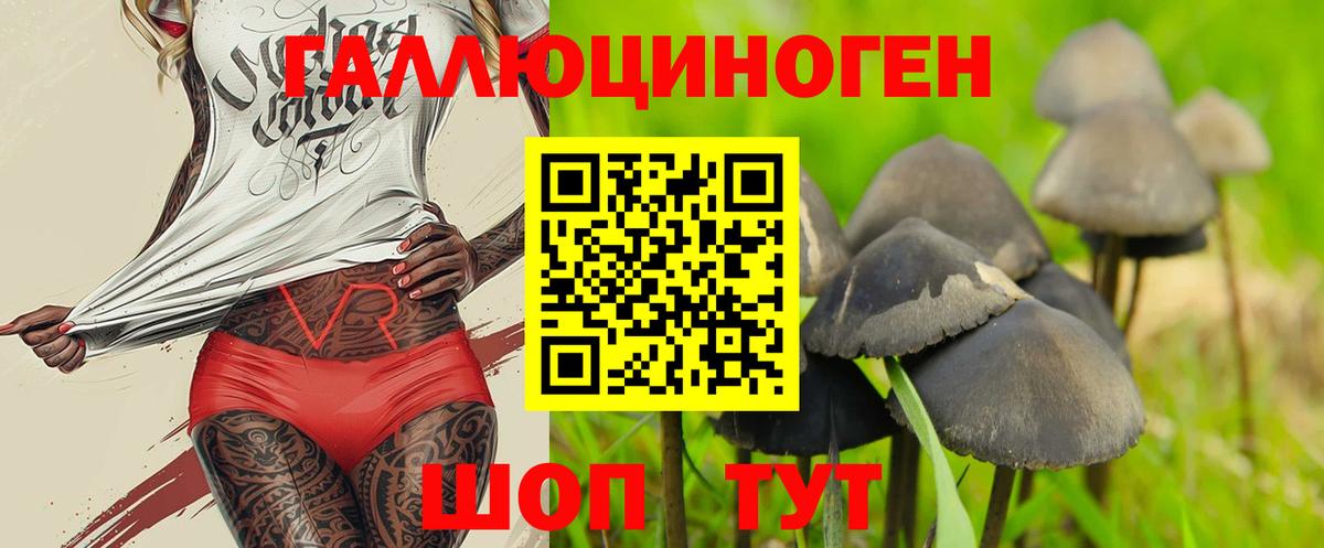 Псилоцибиновые грибы ЛСД  где продают наркотики  Верхний Уфалей  Вход с VPN 