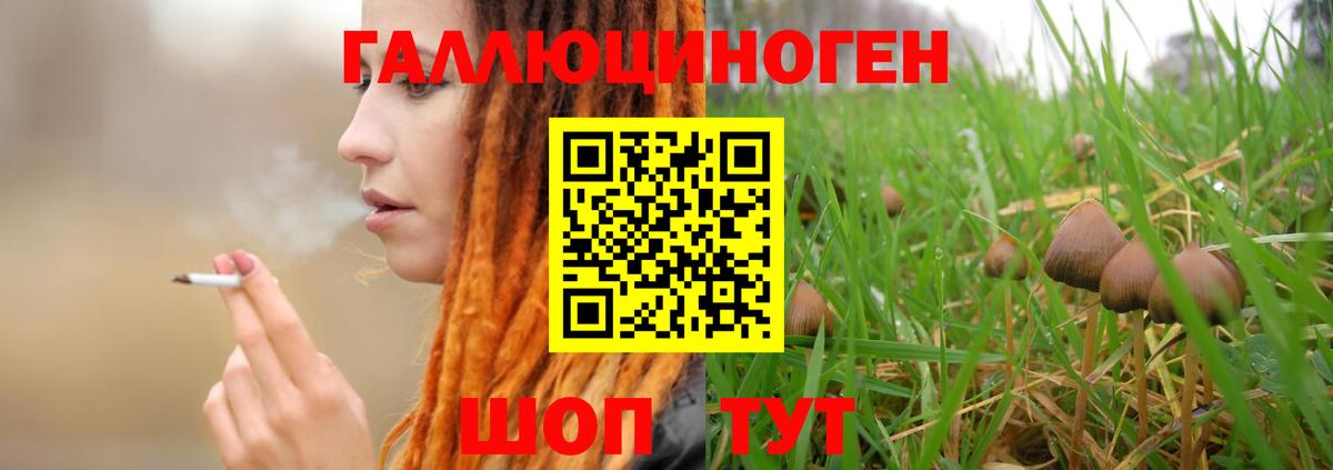 Псилоцибиновые грибы ЛСД Верхний Уфалей